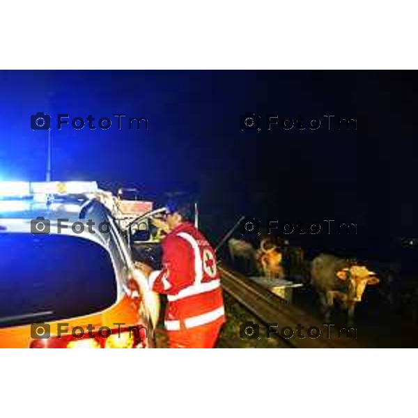 foto LaPresse Tiziano Manzoni 30/08/2018 Cronaca Bergamo - ITALIA Roncola San bernardo, incidente stradale furgone tampona trattore