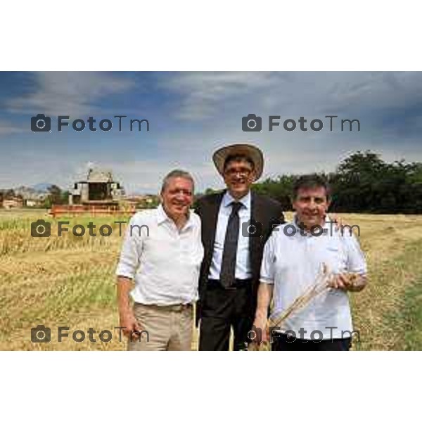 Bergamo la filiera pane a chilometro zero, fatto con il grano coltivato nei terreni della bergamasca. La raccolta del cereale NELLA FOTO DA SX GIANGI MILESI CESVI GOTTI CON IL CAPPELLO UBI BANCA - CAPELLO ASPAN- luglio 2012 foto Tiziano Manzoni/Fotogramma Bergamo