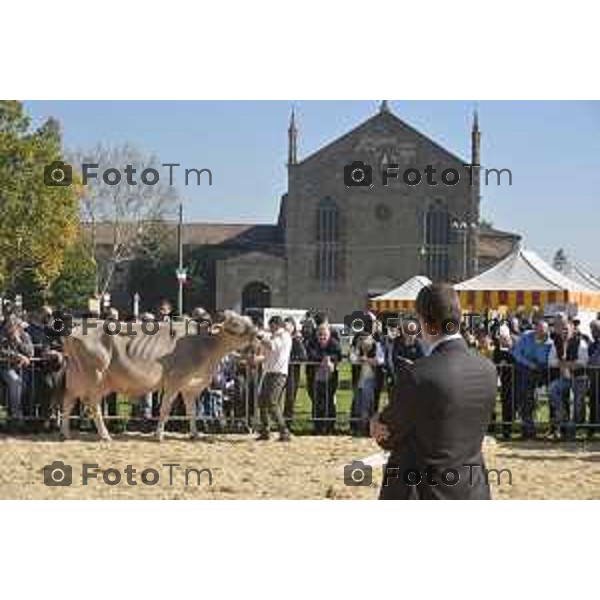 Bergamo Concorso Regina e Reginetta delle Valli, un contest per stabilire quale sia la migliore mucca delle Valli bergamasche, organizzato da Festival del pastoralismo e Comunità montana val Brembana in collaborazione con Comune di Bergamo, Associazione interprovinciale allevatori Brescia e Bergamo