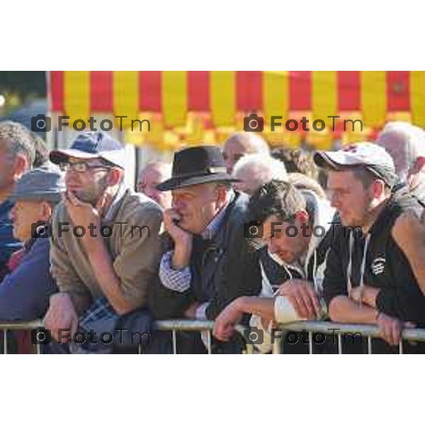 Bergamo Concorso Regina e Reginetta delle Valli, un contest per stabilire quale sia la migliore mucca delle Valli bergamasche, organizzato da Festival del pastoralismo e Comunità montana val Brembana in collaborazione con Comune di Bergamo, Associazione interprovinciale allevatori Brescia e Bergamo