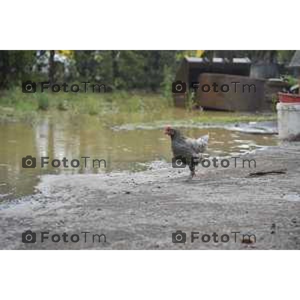 Foto LaPresse/Davide Gandossi x Tiziano Manzoni25/05/2019 Bergamo,Italia cronaca Bomba d\'acqua su Valbrembo esondato il torrente Quisa, strade chiuse allagamenti e disagi Nella Foto: Azienda Agricola Cattaneo allagata dall\'esondazione del fiume Quisa animali allagati