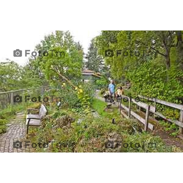 Foto Manzoni Tiziano/LaPresse 14-09-2022 Bergamo Italia - Cronaca - nuovo Giardino d\'inverno e dei progetti dell\'Orto Botanico "Lorenzo Rota" a 50 anni dall apertura