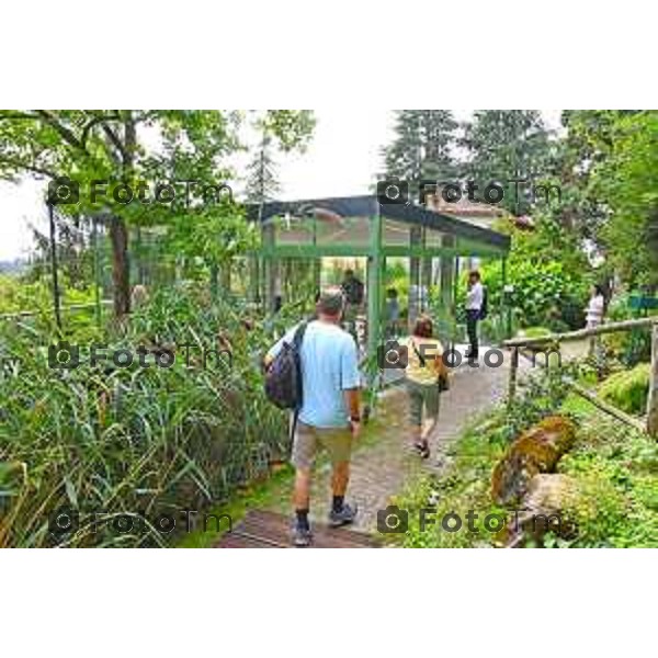 Foto Manzoni Tiziano/LaPresse 14-09-2022 Bergamo Italia - Cronaca - nuovo Giardino d\'inverno e dei progetti dell\'Orto Botanico "Lorenzo Rota" a 50 anni dall apertura