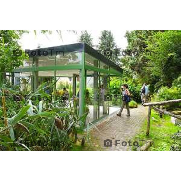 Foto Manzoni Tiziano/LaPresse 14-09-2022 Bergamo Italia - Cronaca - nuovo Giardino d\'inverno e dei progetti dell\'Orto Botanico "Lorenzo Rota" a 50 anni dall apertura