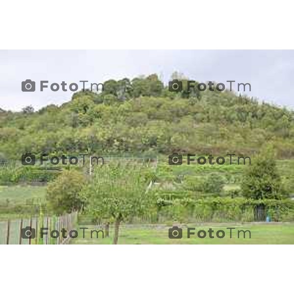 Foto Manzoni Tiziano/LaPresse 17-09-2022 Bergamo Italia - Cronaca - Abbazia di San Paolo d’Argon Vigne