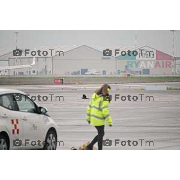 Foto Tiziano Manzoni/LaPresse Bergamo Italia Cronaca 06-03-2023 Aaeroporto di Milano Bergamo,presentazione nuovo hangar Ryanair, che nell’occasione celebrerà il ventennale della sua base operativa