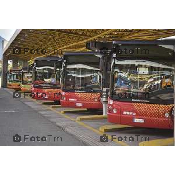 Bergamo, presentazione dei nuovi autobus di ATB nella foto i nuovi autobus ecologici