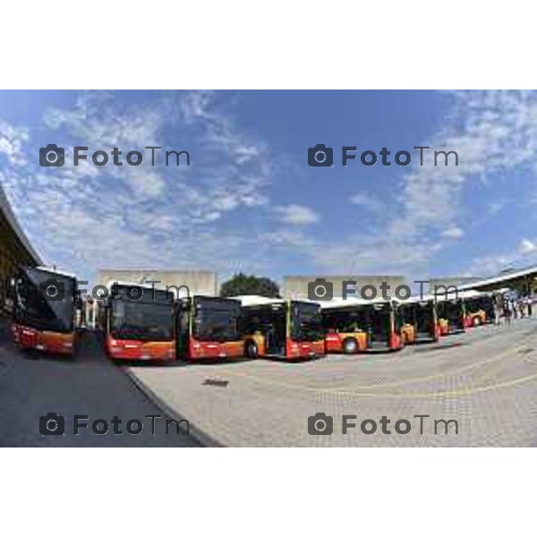 Bergamo, presentazione dei nuovi autobus di ATB nella foto i nuovi autobus ecologici a metano