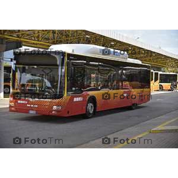 Bergamo, presentazione dei nuovi autobus di ATB nella foto i nuovi autobus ecologici