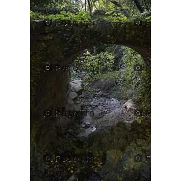 Berbenno (val Imagna ) nella foto corso del Torrente Brunone, affluente del Torrente Imagna,