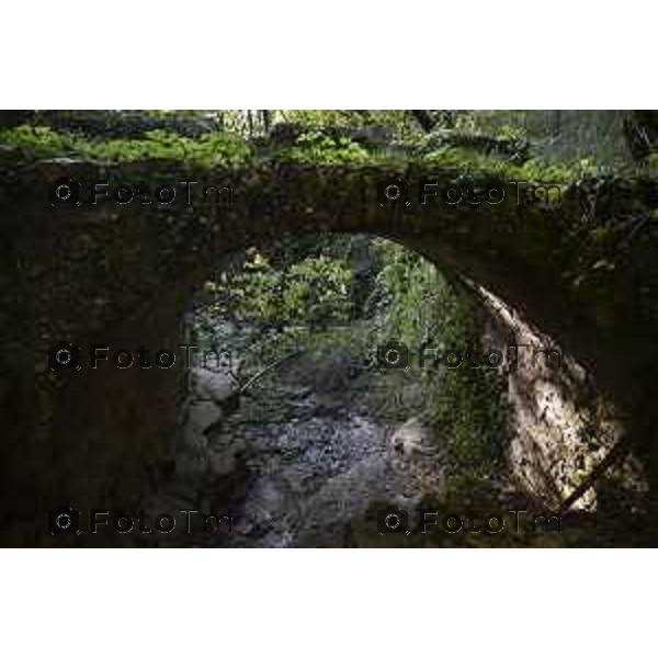 Berbenno (val Imagna ) nella foto corso del Torrente Brunone, affluente del Torrente Imagna,