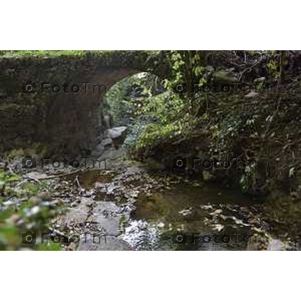 Berbenno (val Imagna ) nella foto corso del Torrente Brunone, affluente del Torrente Imagna,