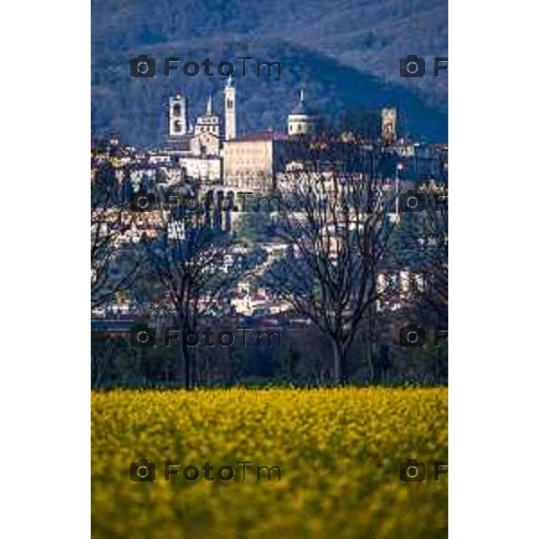 Foto Manzoni Tiziano/LaPresse 29-03-2023Bergamo Italia - Cronaca - Bergamo alta vista dalla madonna dei campi in pimavera