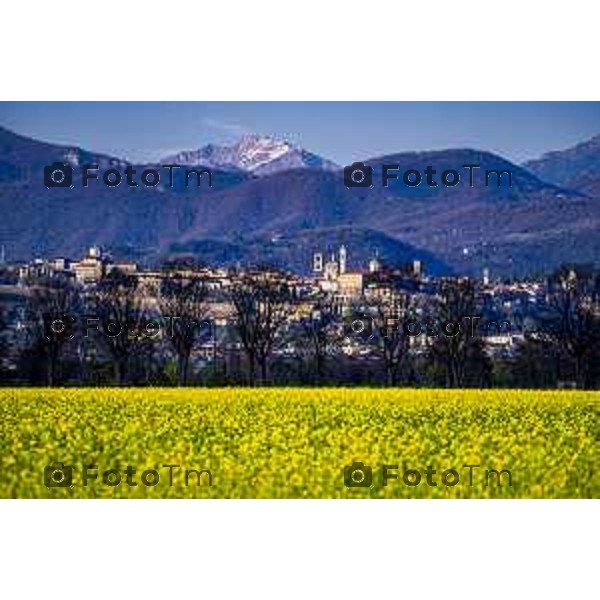 Foto Manzoni Tiziano/LaPresse 29-03-2023Bergamo Italia - Cronaca - Bergamo alta vista dalla madonna dei campi in pimavera