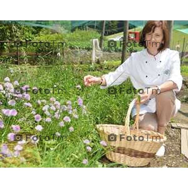 Schilpario (BG) Mea Tagliaferri Albergo San Marco cucina di erbe di montagna foto Tiziano Manzoni-fotogramma Bergamo