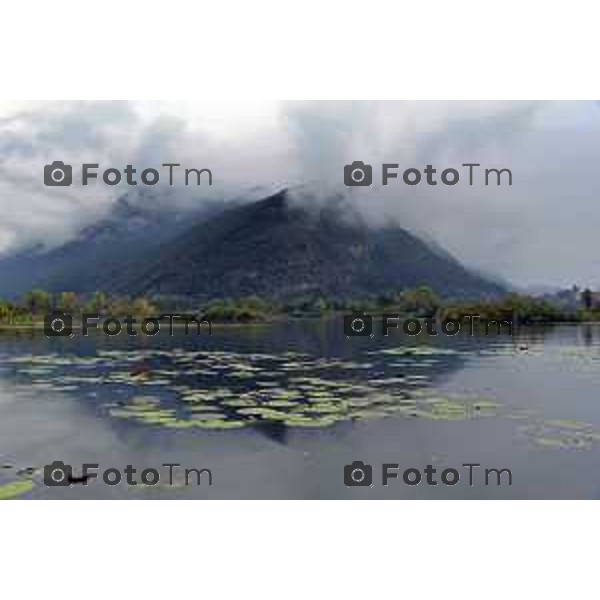 Provaglio d\'Iseo (BS) Torbiede d\'Iseo pesca al pesce siluro con troupe Giapponese foto Tiziano Manzoni-fotogramma Bergamo