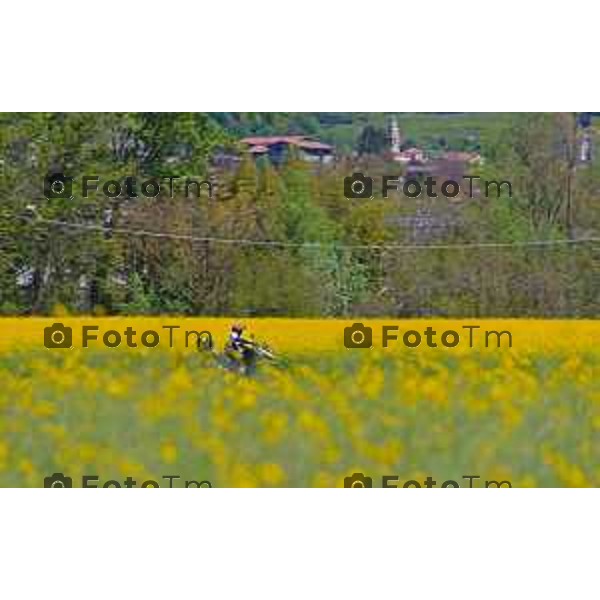 Foto Manzoni Tiziano/LaPresse 2404-2023Bergamo Italia - Cronaca - Villa d\'adda provincia di Bergamo i colori della primavera