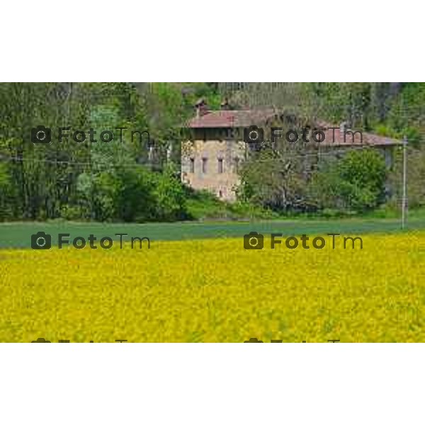 Foto Manzoni Tiziano/LaPresse 2404-2023Bergamo Italia - Cronaca - Villa d\'adda provincia di Bergamo i colori della primavera