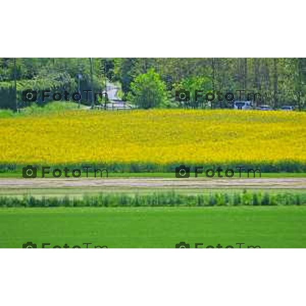 Foto Manzoni Tiziano/LaPresse 2404-2023Bergamo Italia - Cronaca - Villa d\'adda provincia di Bergamo i colori della primavera