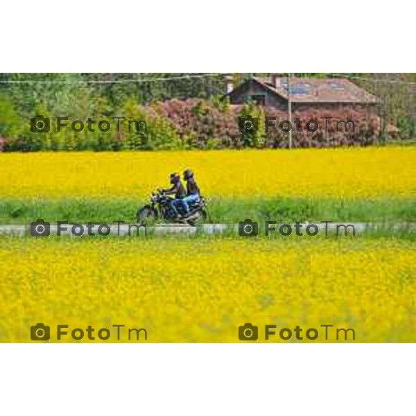 Foto Manzoni Tiziano/LaPresse 2404-2023Bergamo Italia - Cronaca - Villa d\'adda provincia di Bergamo i colori della primavera