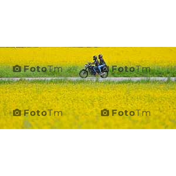 Foto Manzoni Tiziano/LaPresse 2404-2023Bergamo Italia - Cronaca - Villa d\'adda provincia di Bergamo i colori della primavera
