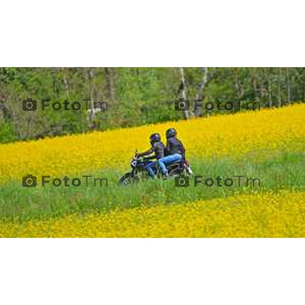 Foto Manzoni Tiziano/LaPresse 2404-2023Bergamo Italia - Cronaca - Villa d\'adda provincia di Bergamo i colori della primavera