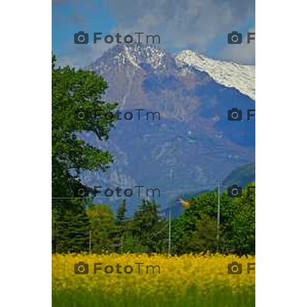 Foto Manzoni Tiziano/LaPresse 2404-2023Bergamo Italia - Cronaca - Villa d\'adda provincia di Bergamo i colori della primavera