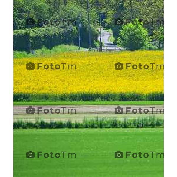 Foto Manzoni Tiziano/LaPresse 2404-2023Bergamo Italia - Cronaca - Villa d\'adda provincia di Bergamo i colori della primavera