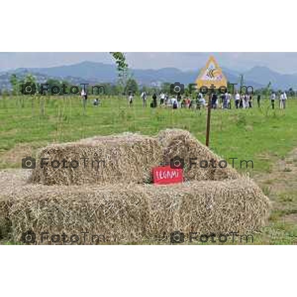 Foto Manzoni Tiziano/LaPresse 30-05-2023Bergamo Italia - Cronaca - inaugura Legami Dreamland, il parco naturale che ricade nel territorio della città di Bergamo, Sindaco di Bergamo Giorgio Gori e il CEO e direttore creativo di Legami Alberto Fassi,