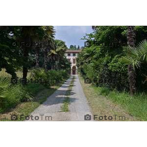 Foto Manzoni Tiziano/LaPresse 16-6-2023Bergamo Italia - Cronaca - Villa Celinate Scanzorosciate,frazione Tribulina agriturismo produzione moscato di scanzo