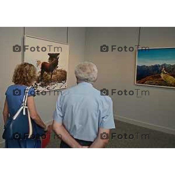 Tiziano Manzoni/LaPresse 21-06- 2023 Bergamo, Italia Cronaca Bergamo Accademia Carrara Vette di Luce dialogo tra la pittura paesaggistica dell\'Ottocento e la fotografia di Naoki