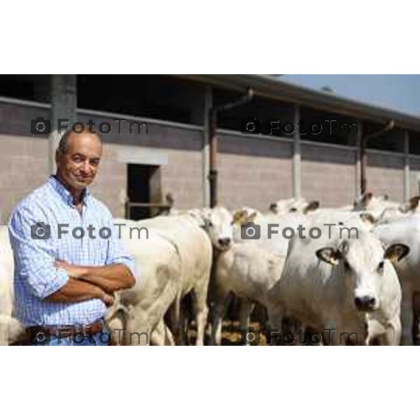 L’azienda agricola Santinelli,produzione di carni pregiate di alta qualità, bovini piemontesi, a stabulazione libera, che possono pascolare in un ampio terreno verde. Nella foto la fattoria, e il dott Angelo Santinelli Veterinario e Allevatore foto Tiziano Manzoni Fotogramma