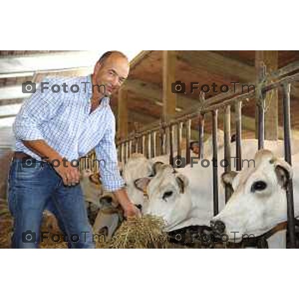 L’azienda agricola Santinelli,produzione di carni pregiate di alta qualità, bovini piemontesi, a stabulazione libera, che possono pascolare in un ampio terreno verde. Nella foto la fattoria, e il dott Angelo Santinelli Veterinario e Allevatore foto Tiziano Manzoni Fotogramma