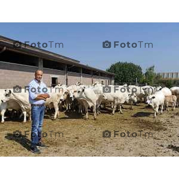 L’azienda agricola Santinelli,produzione di carni pregiate di alta qualità, bovini piemontesi, a stabulazione libera, che possono pascolare in un ampio terreno verde. Nella foto la fattoria, e il dott Angelo Santinelli Veterinario e Allevatore foto Tiziano Manzoni Fotogramma