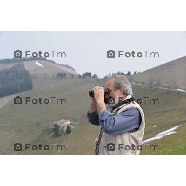 Colli di San Fermo (BG) Liberazione dagli operatori dell\'Oasi Val Predina e del Wwf di un Biancone nella foto Enzo Mauri- Direttore Riserva Naturale. Regionale Valpredina ( con la barba) e alcuni volontari aiutano nelle misure e nel rilascio del volatile foto Tiziano Manzoni-fotogramma Bergamo