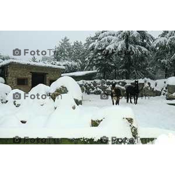 parco cornelle inverno con neve Tiziano Manzoni