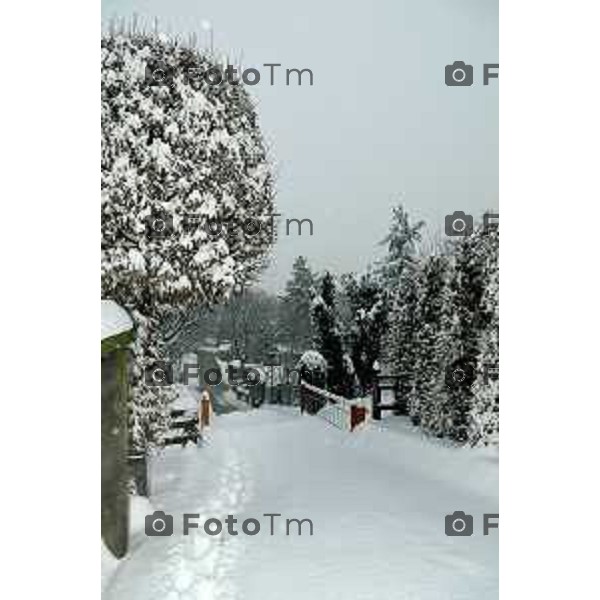 parco cornelle inverno con neve Tiziano Manzoni