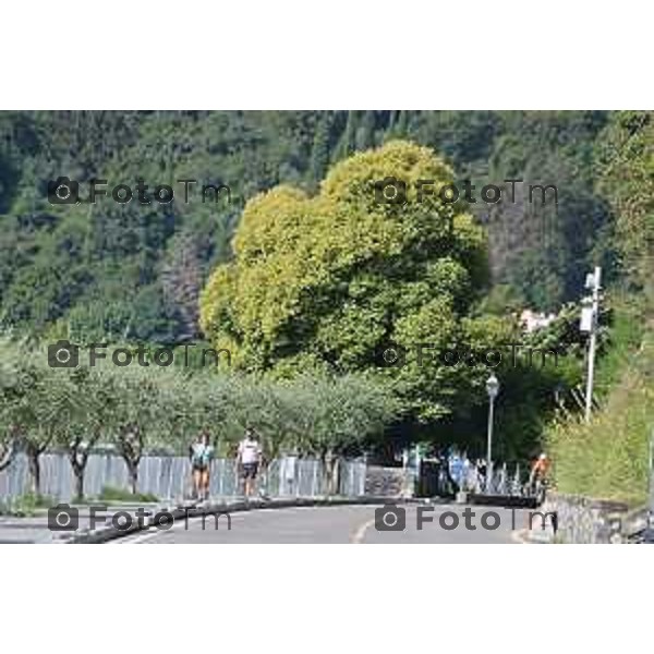 Foto Manzoni Tiziano/LaPresse 1-8-2023 Bergamo Italia - Cronaca -Riva di solto borgn passeggiata e ciclabile lungo lago