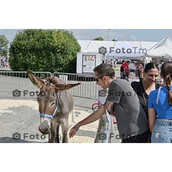 Foto Manzoni Tiziano/LaPresse 1-9-2023 Bergamo Italia - Cronaca - Bergamo Fiera di Sant\'Alessandro 2023 manifestazione dedicata alla filiera del mondo contadino