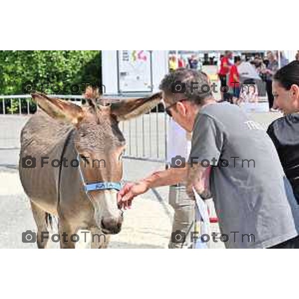 Foto Manzoni Tiziano/LaPresse 1-9-2023 Bergamo Italia - Cronaca - Bergamo Fiera di Sant\'Alessandro 2023 manifestazione dedicata alla filiera del mondo contadino