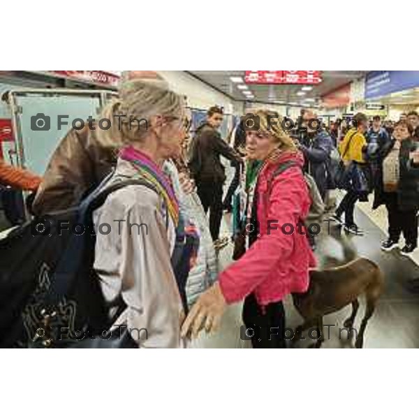 Foto Manzoni Tiziano/LaPresse 3-11-2023 Bergamo Italia- Cronaca Giuditta Brattini, la cooperante bresciana che da oltre 20 anni è a fianco dei palestinesi più bisognosi è tornata in Italia. È arrivata alle 11.30 all’aeroporto di Orio al Serio. Ad attenderla il marito Mauro Tosi,