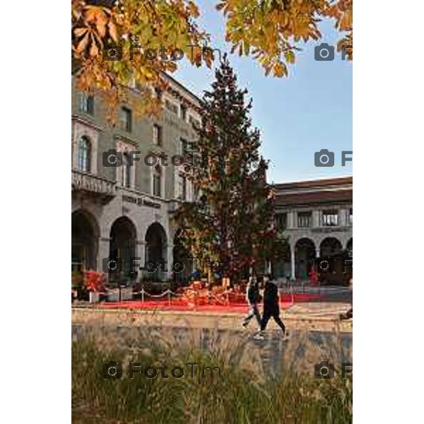 Foto Manzoni Tiziano/LaPresse 23-11-2023 Bergamo Italia- Cronaca Orhan Bergamo Natale 2023 albero e ruota panoramica giostra