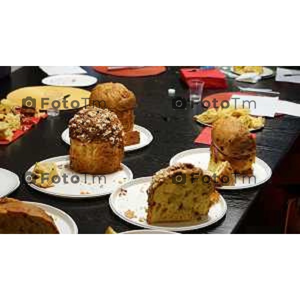 Foto Manzoni Tiziano/LaPresse 1-12-2023 Bergamo Italia- Cronaca Bergamo 8 pasticceri bergmaschi decretano il panettone migliorenella redazione del corriere Bg