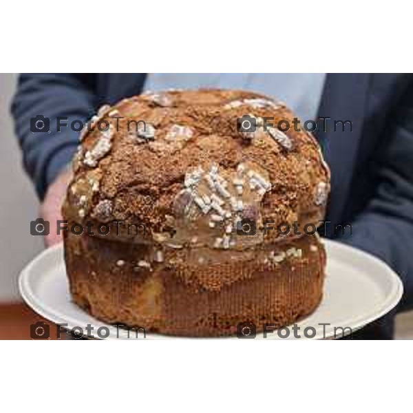 Foto Manzoni Tiziano/LaPresse 1-12-2023 Bergamo Italia- Cronaca Bergamo 8 pasticceri bergmaschi decretano il panettone migliorenella redazione del corriere Bg