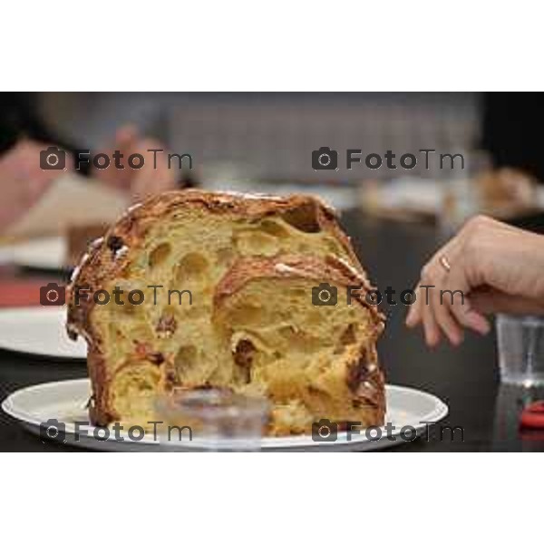 Foto Manzoni Tiziano/LaPresse 1-12-2023 Bergamo Italia- Cronaca Bergamo 8 pasticceri bergmaschi decretano il panettone migliorenella redazione del corriere Bg