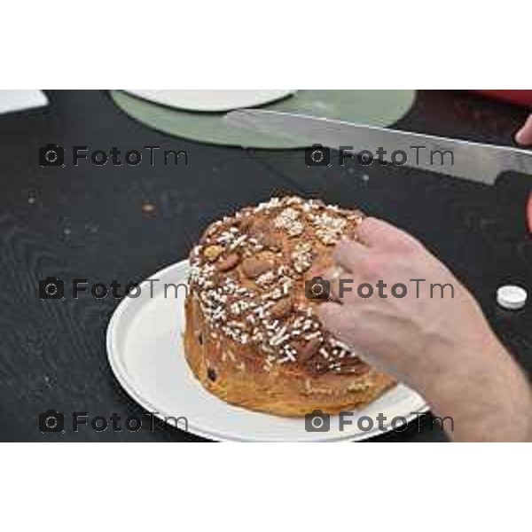 Foto Manzoni Tiziano/LaPresse 1-12-2023 Bergamo Italia- Cronaca Bergamo 8 pasticceri bergmaschi decretano il panettone migliorenella redazione del corriere Bg