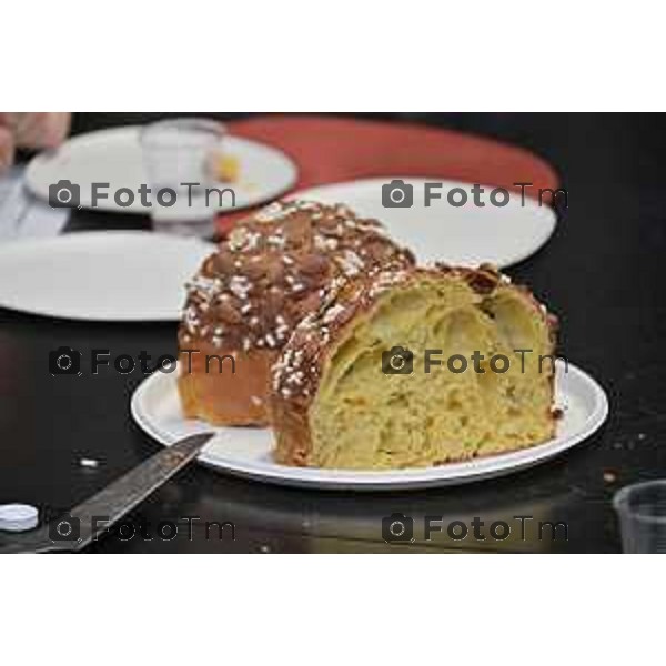 Foto Manzoni Tiziano/LaPresse 1-12-2023 Bergamo Italia- Cronaca Bergamo 8 pasticceri bergmaschi decretano il panettone migliorenella redazione del corriere Bg