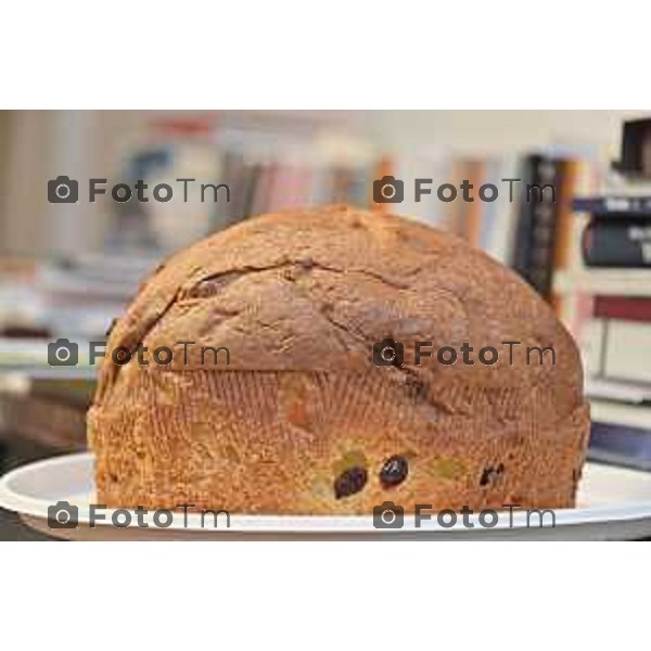 Foto Manzoni Tiziano/LaPresse 1-12-2023 Bergamo Italia- Cronaca Bergamo 8 pasticceri bergmaschi decretano il panettone migliorenella redazione del corriere Bg