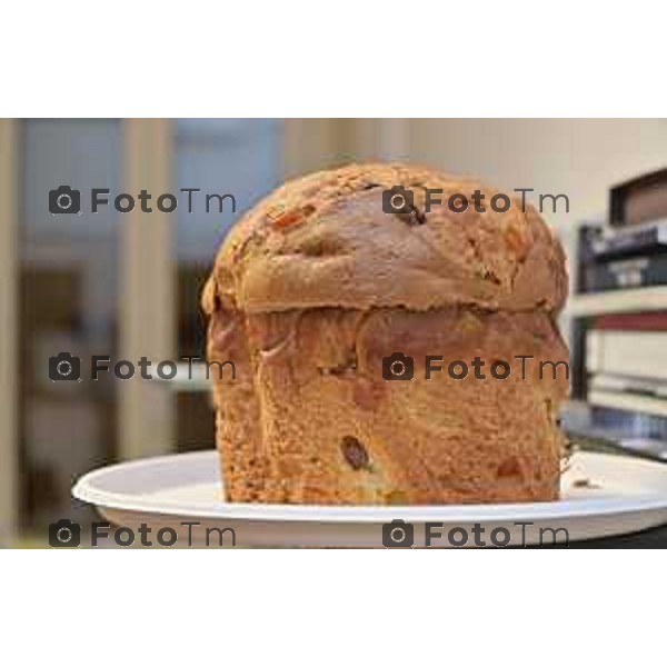 Foto Manzoni Tiziano/LaPresse 1-12-2023 Bergamo Italia- Cronaca Bergamo 8 pasticceri bergmaschi decretano il panettone migliorenella redazione del corriere Bg