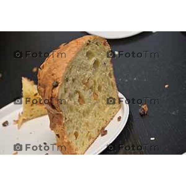 Foto Manzoni Tiziano/LaPresse 1-12-2023 Bergamo Italia- Cronaca Bergamo 8 pasticceri bergmaschi decretano il panettone migliorenella redazione del corriere Bg